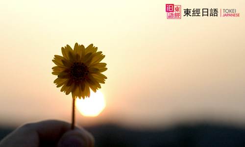 花朵-蘇州日語-蘇州日語培訓班