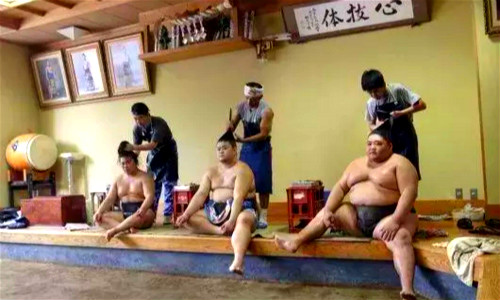 相撲運動員發(fā)型