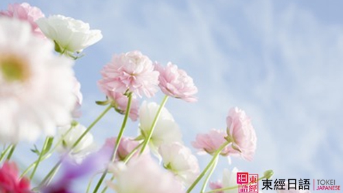 花-日語學(xué)習(xí)-蘇州日語培訓(xùn)