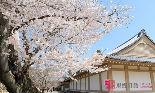 日本留學(xué)語言培訓(xùn)學(xué)校-蘇州日語