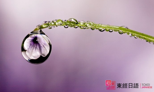 雨水-蘇州日語-蘇州日語學(xué)校