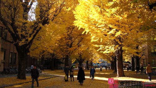 日本留學-蘇州日語培訓-蘇州新區(qū)日語培訓