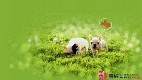 日語學習-蘇州日語培訓-日語零基礎(chǔ)