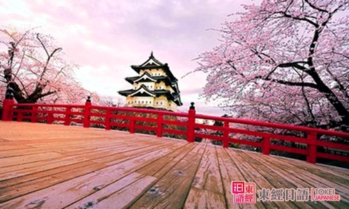 日本櫻花-日本文化概論-培訓日語