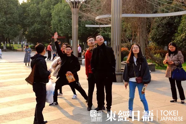 東經(jīng)日語(yǔ)玉山公園賞櫻活動(dòng)-外教為學(xué)員講解