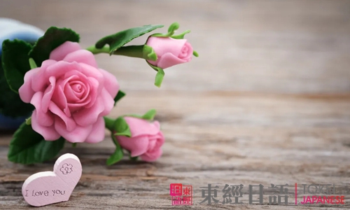 我愛(ài)你的日語(yǔ)