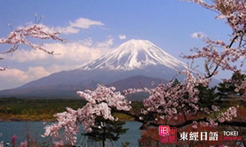 日本櫻花-蘇州日語-蘇州新區(qū)日語培訓