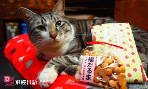 日貓咪店長人氣旺