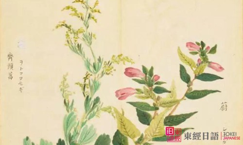 日本文學鑒賞-方丈記