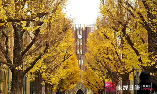 日本留學-日本東京大學-東京大學怎么考