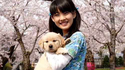 私を信じてください-蘇州日語(yǔ)培訓(xùn)-蘇州日語(yǔ)