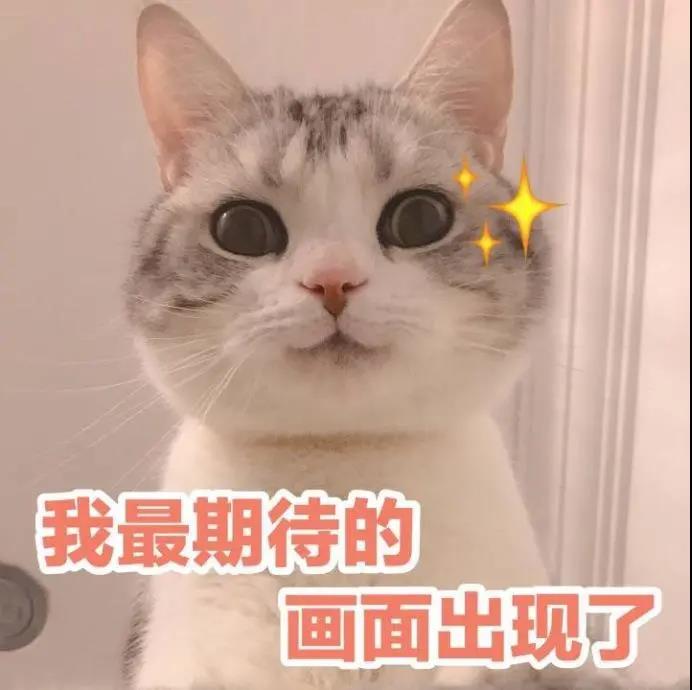 速報(bào)！2021年日語(yǔ)NAT-TEST考試時(shí)間公布！