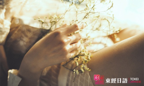 日語(yǔ)初級(jí)-蘇州日語(yǔ)