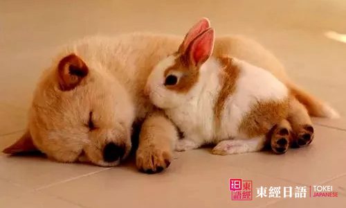 日語小文章-蘇州日語班
