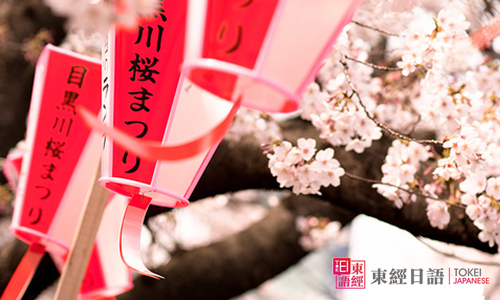 日本櫻花-日本留學(xué)-日本文學(xué)