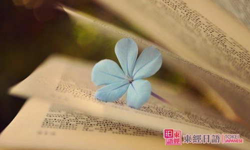 初學日語-日語初學者-蘇州日語