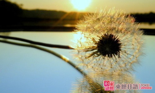 日語初級句型-日語培訓(xùn)班-蘇州東經(jīng)日語