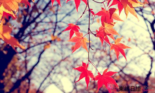 季節(jié)日語詞匯-蘇州日語-蘇州新區(qū)日語培訓(xùn)