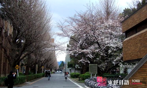 日本大阪大學(xué)-日本留學(xué)-蘇州日語培訓(xùn)