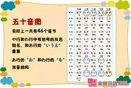 日語五十音圖-日語50音圖發(fā)音-蘇州東經(jīng)日語