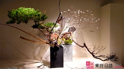 池坊流日本插花-蘇州日語培訓(xùn)班-蘇州日語學(xué)習(xí)