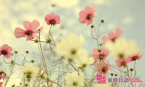 日語初級句型-日語培訓(xùn)班