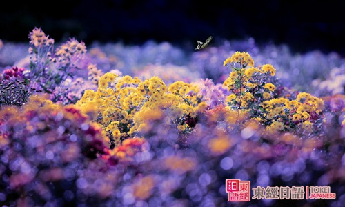 和花相關(guān)的日文單詞-日語學(xué)習(xí)班-花語解讀日文
