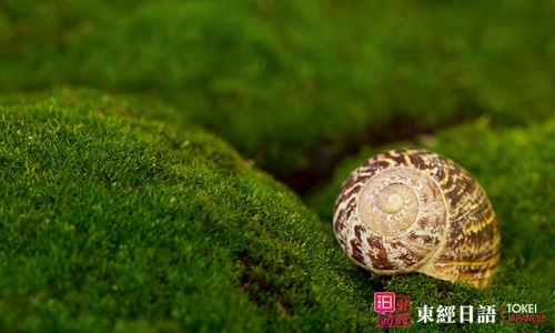 日語(yǔ)學(xué)習(xí)-蘇州日語(yǔ)-蘇州日語(yǔ)培訓(xùn)