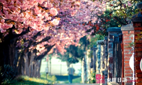 日本留學-蘇州學日語-蘇州日語培訓