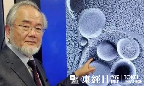 日本諾貝爾獎獲得者大隅良典