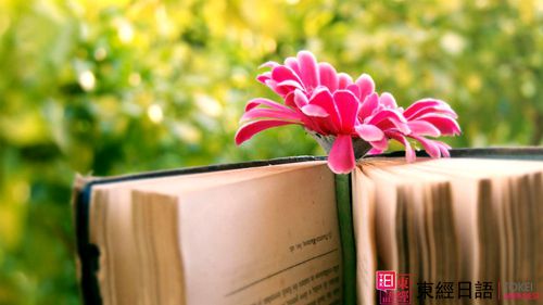 蘇州日語-日語學(xué)習(xí)-蘇州新區(qū)日語培訓(xùn)