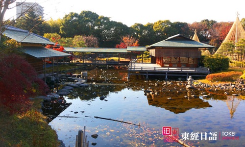 日本名古屋旅游攻略：休閑的白鳥庭園