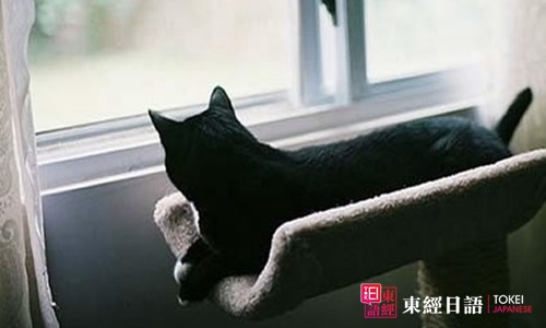 黑貓-學(xué)日文