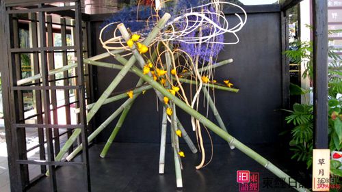草月流日本插花-蘇州園區(qū)日語培訓(xùn)-蘇州東經(jīng)日語