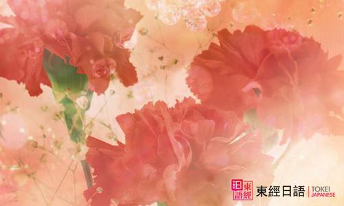 康乃馨日語-蘇州日語培訓(xùn)-蘇州日語
