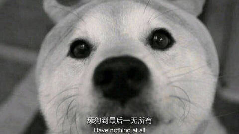u=3410871879,2527118072&fm=26&gp=0.jpg