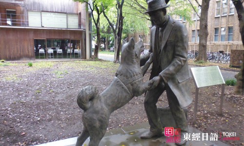 東京大學(xué)農(nóng)學(xué)資料館-蘇州日語