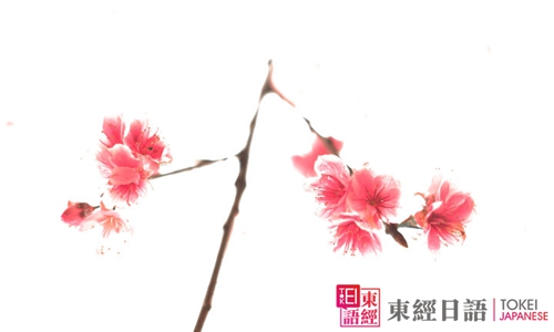 日本櫻花