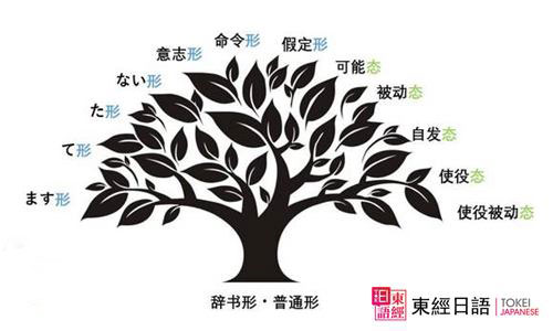 日語(yǔ)動(dòng)詞變形分類-蘇州日語(yǔ)-蘇州日語(yǔ)學(xué)習(xí)