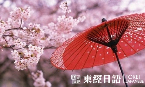 日本櫻花-日本文化史