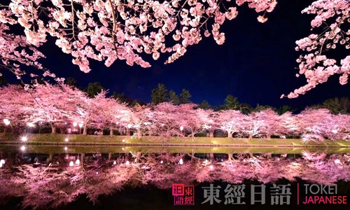 櫻花祭賞櫻