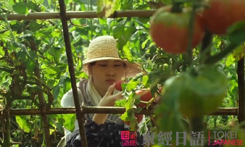 夏天氣息的日語句子