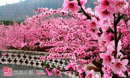 學(xué)習(xí)日語(yǔ)-日語(yǔ)口語(yǔ)學(xué)習(xí)-東經(jīng)日語(yǔ)學(xué)校