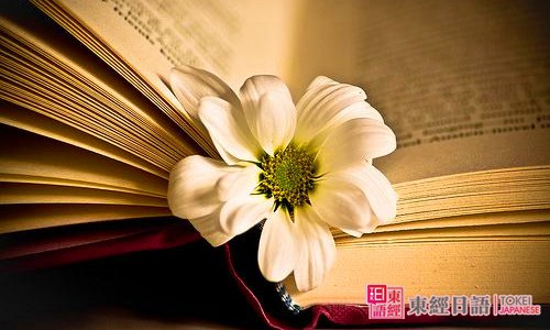 書本唯美-日語詞匯辨析-蘇州日語學(xué)習(xí)