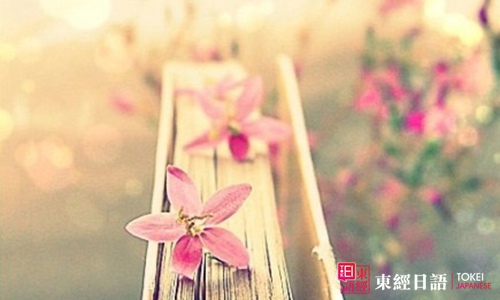 日語(yǔ)考試成績(jī)查詢-jlpt成績(jī)查詢