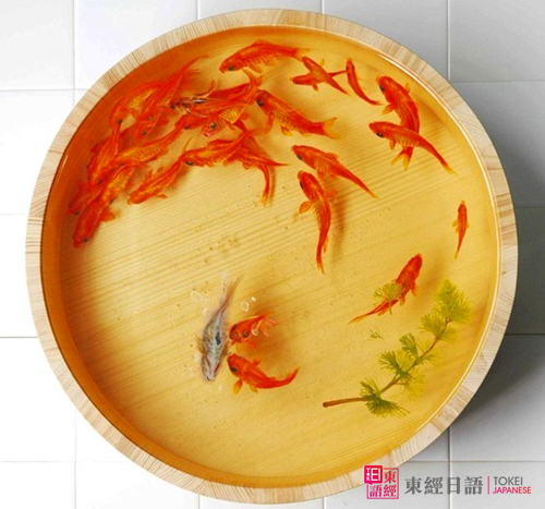 日本美術家深堀隆介-樹脂金魚