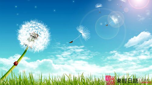 被役態(tài)-蘇州日語培訓-東經日語