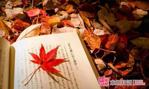 日本的秋天-日語秋季詞匯-蘇州日語培訓(xùn)